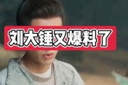 刘大锤爆料网红视频大全,网红视频大全背后的精彩瞬间