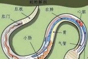 观观爆料箱没视频怎么办,视频缺席，精彩内容仍不容错过