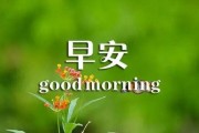 早安最新爆料图片大全,最新图片大全揭秘瞬间