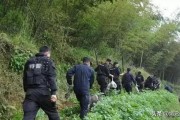 耒阳网上爆料事件最新,真相与舆论的交织