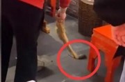 武汉刘女士最新爆料,揭秘XX事件背后惊人真相