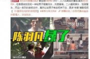 全球解说大爆料视频下载,视频下载背后的秘密与技巧